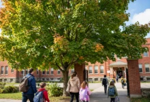 转学流程:跨学区 5 步、学期中转 3 个坑、材料 4 件套怎么办-加拿大大