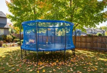 加拿大宣布蹦床 trampoline 保险:房东 3 个责任风险全解-加拿大大