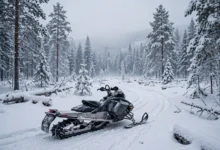 加拿大雪地摩托：牌照保险与trail通行证全解-加拿大大