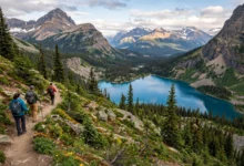 加拿大国家公园通行证涨价:Parks Canada 年票还值不值全算清-加拿大大