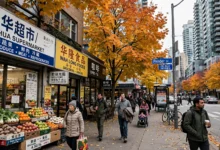 加拿大统计局新数据:华人聚居城市人口变化5个看点全解-加拿大大