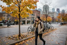 加拿大电话诈骗新套路：冒充 CRA 与使领馆的 4 种话术全解-加拿大大