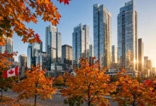 加拿大 TFSA 2026 年度额度公布:今年能存多少、超额罚多少全解-加拿大大