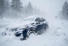 加拿大暴雪封路：被困车内的8件应急物品全解-加拿大大