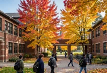 加拿大高中选课AP:华人学生选AP的5个策略全解-加拿大大