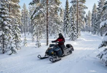 加拿大雪地摩托牌照:雪地摩托上路的4个登记要求全解-加拿大大