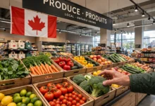 加拿大食品召回:3个官方查询渠道全解-加拿大大