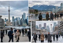 安省、BC、阿省雇主担保省提名:流程、周期、费用三地对比-加拿大大