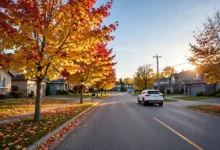 加拿大宣布驾照国际互认扩围:国内驾照换照 4 步全解-加拿大大