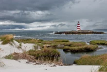 萨布尔角Cape Sable Island一日全解：新斯科舍最南端-加拿大大