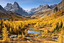 落叶松谷 Larch Valley:9月底金色落叶松,班夫秋季限定徒步全解-加拿大大