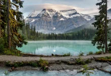 金尼湖 Kinney Lake：伯格湖前7公里懒人版，半日看罗布森全解-加拿大大