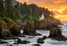灯塔公园 Lighthouse Park:原始雨林+海蚀岩,徒步看日落全解-加拿大大
