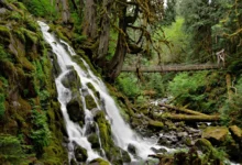 诺文瀑布 Norvan Falls：林恩峡谷源头14公里，北温进阶徒步全解-加拿大大