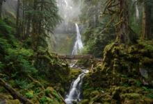 赛普里斯瀑布 Cypress Falls：西温30分钟瀑布线，雨后限定全攻略-加拿大大