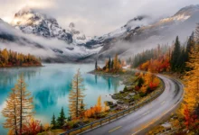 达菲湖 Duffey Lake：99号公路高山湖，秋色自驾全解-加拿大大