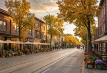朗塞斯瓦莱斯 Roncesvalles：波兰村+咖啡馆，西区慢生活全攻略-加拿大大
