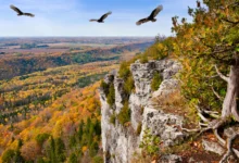 响尾蛇角 Rattlesnake Point:悬崖观景点+土耳其秃鹫,徒步全解-加拿大大