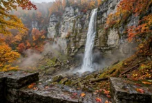 尤金尼亚瀑布 Eugenia Falls:30米落差峡谷瀑布,安省最高之一全解-加拿大大