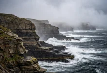 米斯塔肯角 Mistaken Point:5.65亿年化石世界遗产,导览预约全解-加拿大大