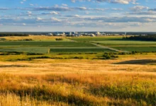 大草原城 Grande Prairie：北阿省门户+恐龙博物馆，夏季全解-加拿大大
