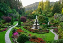 维多利亚布查特花园全解：5个主题园+灯光秀季节-加拿大大