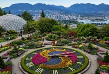 温哥华Queen Elizabeth公园全解:免费花钟+城市全景-加拿大大