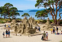 帕克斯维尔沙雕节全解：夏季2个看点-加拿大大