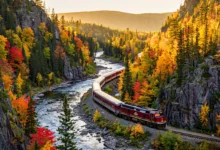 Agawa Canyon秋色火车:安省10月,订票全解-加拿大大