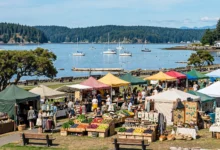 盐泉岛Salt Spring Island渡轮一日游：3个农场市集+海滩全攻略-加拿大大