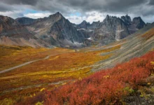 Tombstone Territorial Park:育空秋色天花板,9月苔原全红全攻略-加拿大大