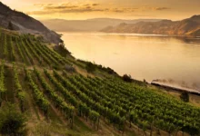 萨默兰Summerland:湖畔酒庄+火车,2天全攻略-加拿大大
