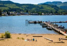 鲑鱼湾Salmon Arm:舒斯瓦普湖+沙滩,2天全攻略-加拿大大