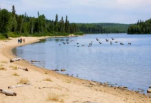 小奴湖Lesser Slave Lake：湖滩+观鸟，2天全攻略-加拿大大