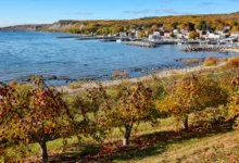 米福德Meaford：苹果酒+湖滩，1日全攻略-加拿大大