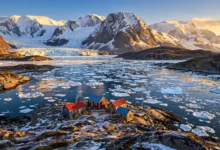 Grise Fiord：世界最北社区之一，怎么去、住哪全解-加拿大大