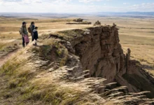 Head-Smashed-In Buffalo Jump：世界遗产跳崖遗址，带娃全攻略-加拿大大