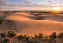 Great Sand Hills:萨省沙漠沙丘,日出怎么拍全解-加拿大大