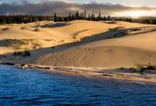 Athabasca Sand Dunes:世界最大北极沙丘之一,怎么去全攻略-加拿大大