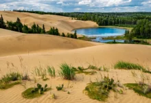 Spruce Woods:曼省沙漠Spirit Sands,徒步全解-加拿大大