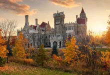 Casa Loma:多伦多城堡+密道,半日全解-加拿大大