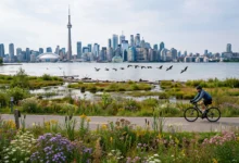 Tommy Thompson Park:观鸟+骑行,本地人后花园全解-加拿大大