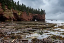 Fundy Trail:圣马丁斯海蚀洞自驾,潮汐全解-加拿大大