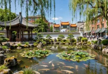 温哥华唐人街:中山公园+春节大游行逛吃全解-加拿大大