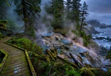 温泉湾 Hot Springs Cove:坐船去野温泉,托菲诺出发全攻略-加拿大大