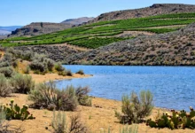 Osoyoos 奥索尤斯:加拿大唯一沙漠+葡萄酒,夏天全攻略-加拿大大