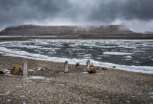 Beechey Island：富兰克林墓地，远征全攻略-加拿大大