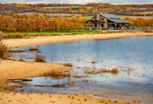 诺福克Norfolk:苹果酒+沙滩,2天全解-加拿大大