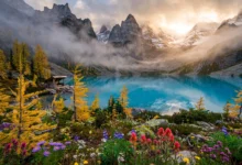 Lake O'Hara:每年3天抽签,秘境抢位全攻略-加拿大大