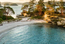 霍恩比岛Hornby Island二日全解:Tribune湾+悬崖跳水-加拿大大